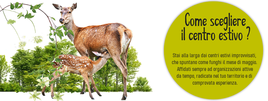 immagine avviso non affidarti a centri estivi improvvisati