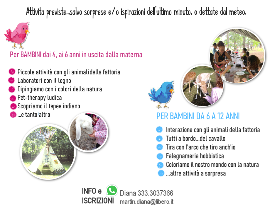 centri estivi attivita 2026