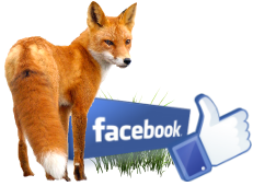 collegamento a Facebook