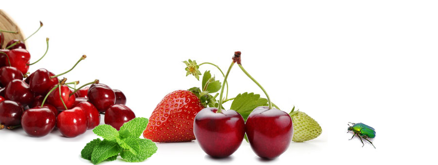 immagine di ciliegie e fragole