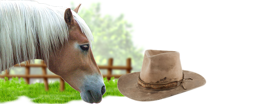 immagine di un cavallo e cappello cow-boy
